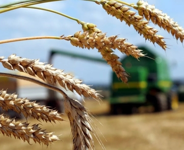 Ожидается, что экспорт сельскохозяйственной продукции США снизится в 2023 году