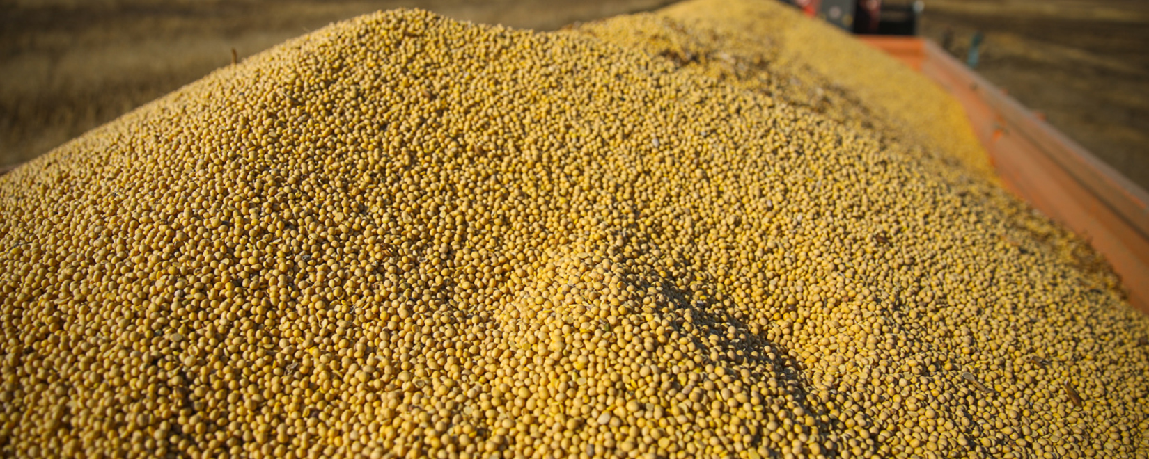 Бразилия в первой декаде сентября экспортировала по 2 млн тонн кукурузы и сои