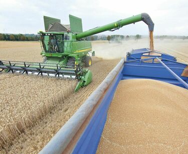 Темпы экспорта пшеницы из Великобритании в июне замедлились