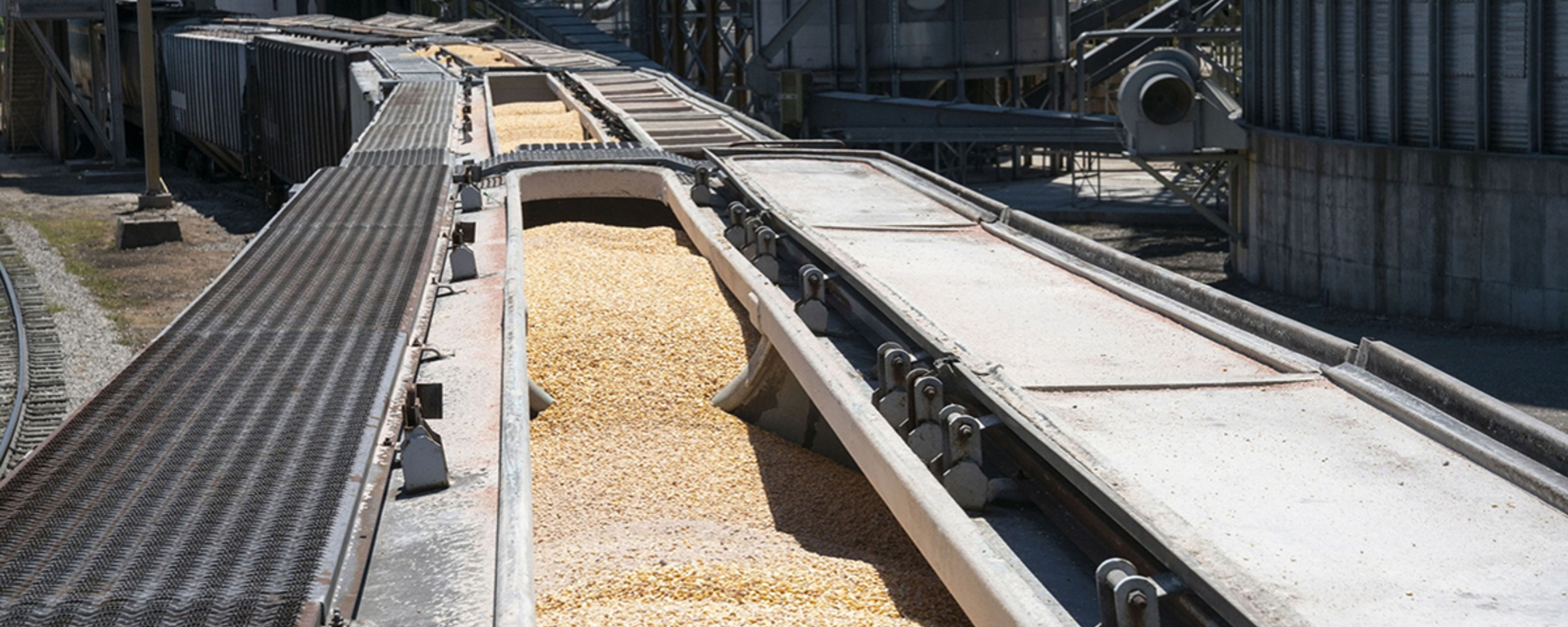 Экспорт зерна из России с 1 по 9 января превысил 1,5 млн тонн. Это на 155 тыс. тонн выше показателя за аналогичный период 2023 года