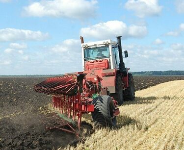Sowing rates in the Chelyabinsk region are 2.5 times higher than last year