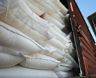 In 2022, Russian flour exports increased by 3.5 times