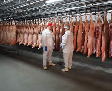 Экспорт свинины из России в Китай может увеличиться до 400 тыс. тонн за 3 года