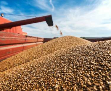 Kazakhstan may face a shortage of grain and rising prices for it
