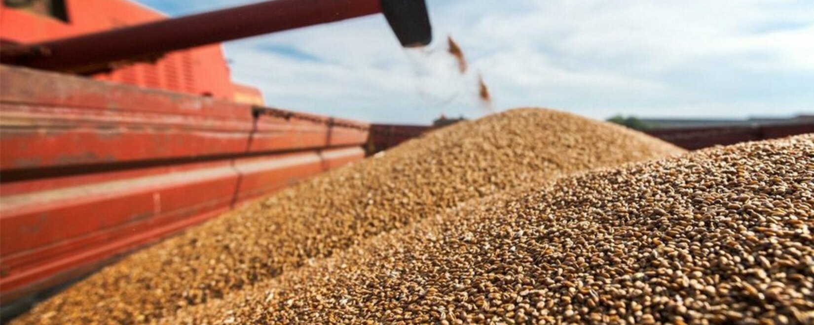 More than 90 thousand tons of grain and products of its processing were shipped from the territory of the Rostov region