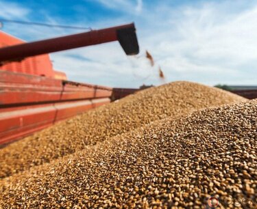 С территории Ростовской области отгружено более 90 тыс. тонн зерна и продуктов его переработки
