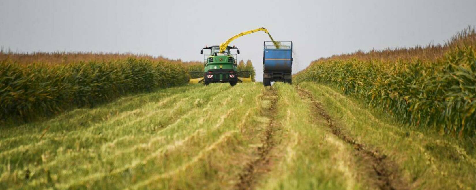 烏克蘭同意停止向波蘭進口穀物