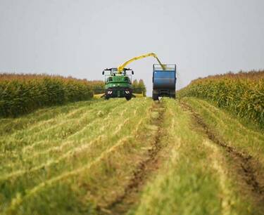 Ukraine agreed to stop grain imports to Poland