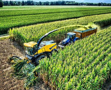Во Франции сохраняются медленные темпы уборки кукурузы