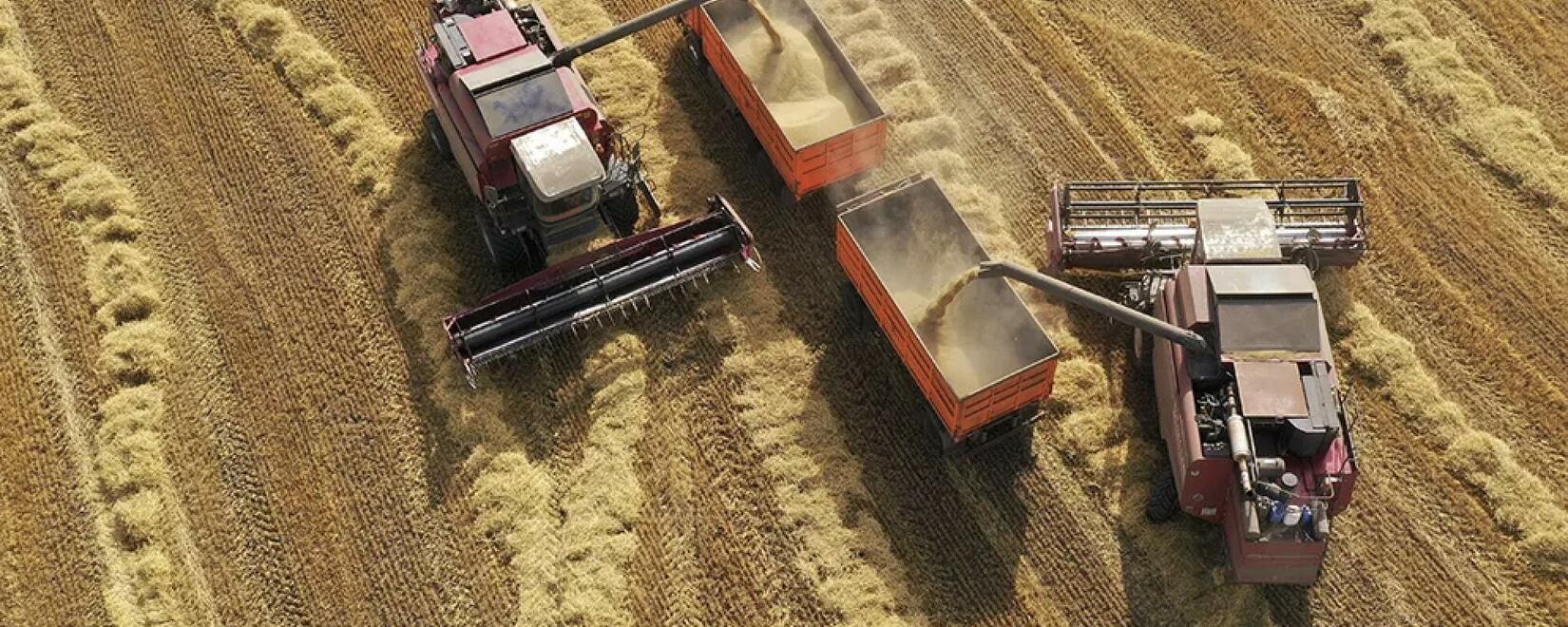 Росстат пересмотрел урожай зерна за 2022 год в сторону увеличения