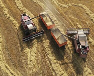 Rosstat revised grain harvest for 2022 upwards
