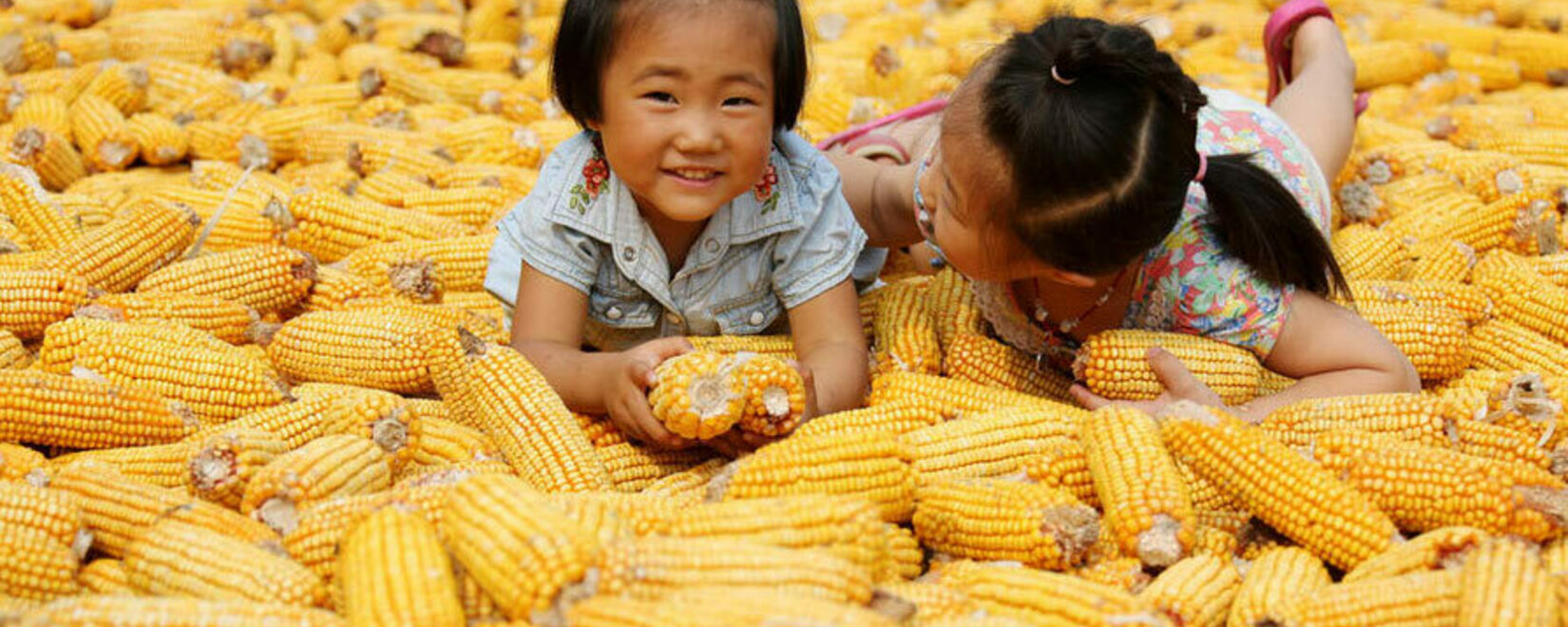 Китай отменил ограничения на поставки кукурузы и риса из России, расширив список регионов-экспортеров