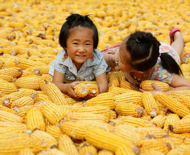 China lifted restrictions on supplies of corn and rice from Russia, expanding the list of exporting regions