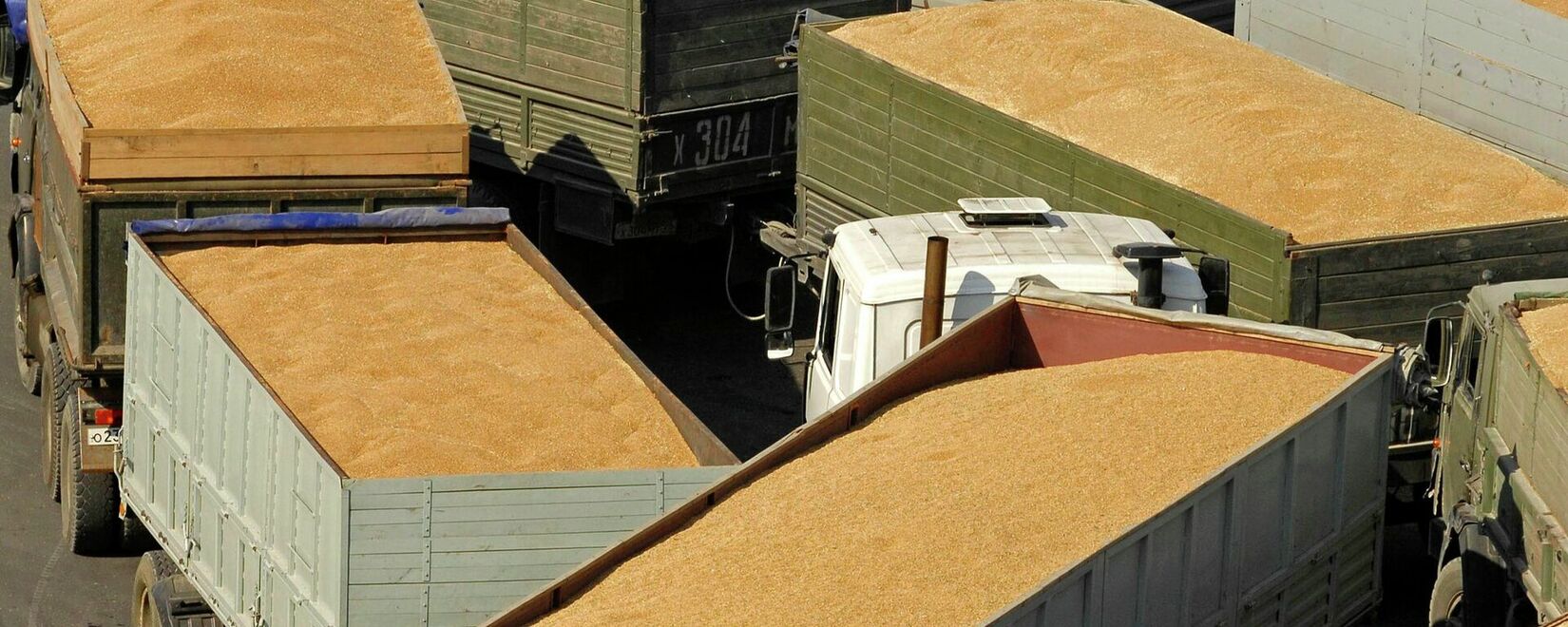 Польша планирует ограничить импорт сельхозпродукции из Украины.