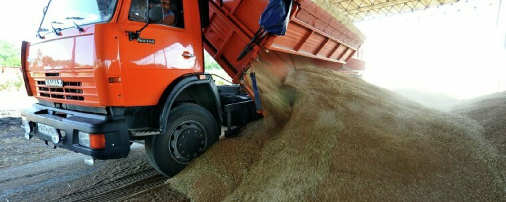 С начала года объемы перевозки зерна по сети КТЖ увеличились на 10%, муки - на 20%