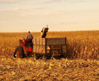 More than 330 farmers' applications for state subsidies approved in the Zaporozhye region