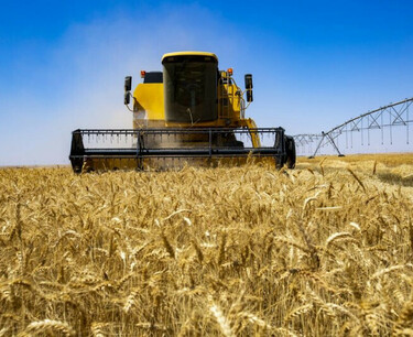 В Иране планируется производство более 21 млн тонн зерна в 2023 году