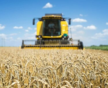France has almost completed the harvest of wheat and barley