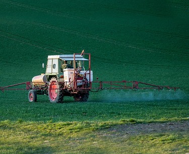 Нелюбимый экологами пестицид впервые в Амурской области превысил предельно допустимую концентрацию в почве
