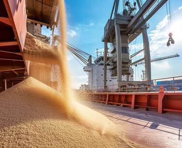 Russian grain exports continue to grow despite quotas: 1.87 million tons were shipped in 10 days, with corn increasing by 20.7%