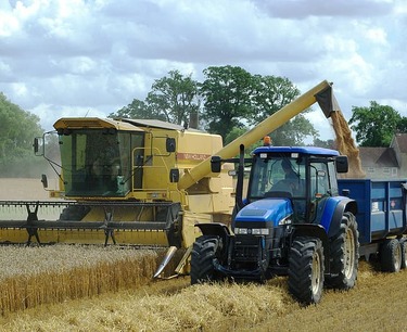 巴什基尔专家证实：俄罗斯小麦种类在新作物试验中胜过土耳其种类。