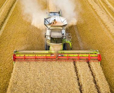 The US Department of Agriculture raised the forecast for wheat harvest in Russia in the new year to 85 million tons