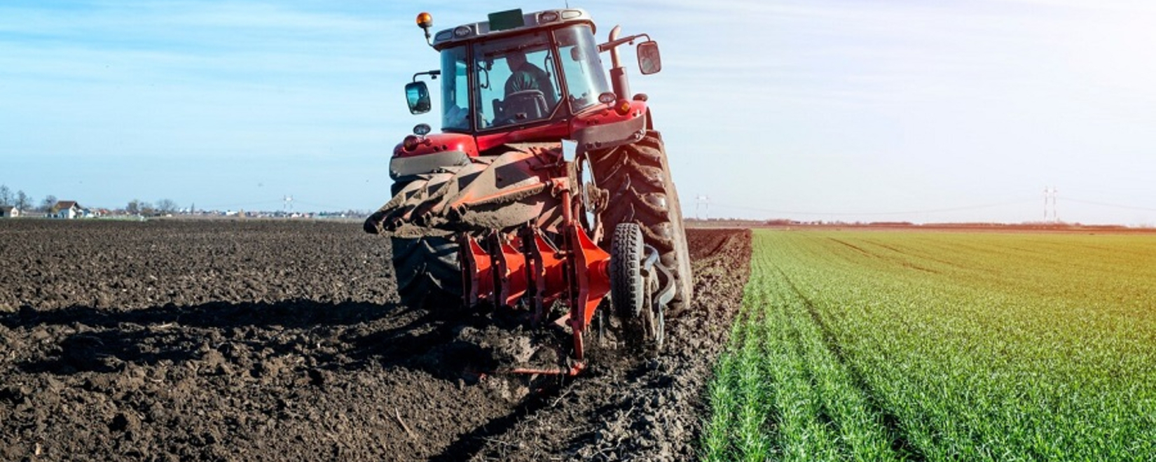 Belarus. Farmers complete sowing winter grains