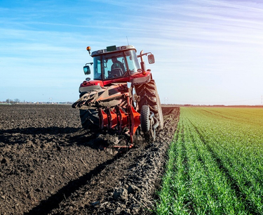 Belarus. Farmers complete sowing winter grains