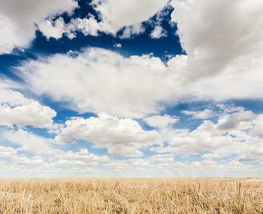 Экспорт пшеницы из России в июле ожидается на уровне 2,5 млн тонн, сообщает Русагротранс.