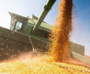 В Минсельхозе РФ обсудили вопросы транспортировки зерна