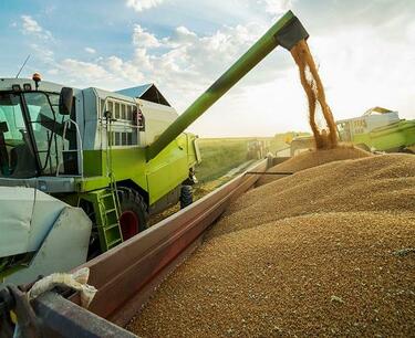 俄羅斯小麥出口價格四個月來首次上漲 - Rusagrotrans