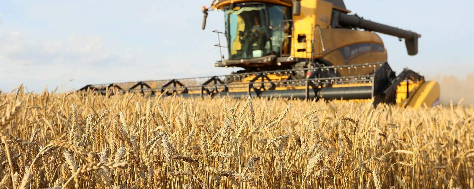 «Русагротранс» увеличил прогноз экспорта пшеницы в мае на 300 тыс. тонн