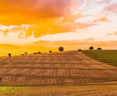 2024年冬季谷物作物的收成：农民面临的挑战和前景
