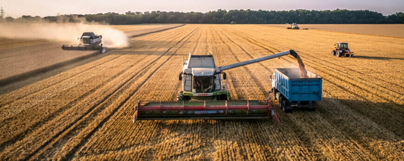 Аргентина начала сбор урожая пшеницы