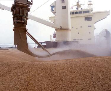 Отгрузка зерна через порт Новороссийска в 2023 г. увеличилась в два раза