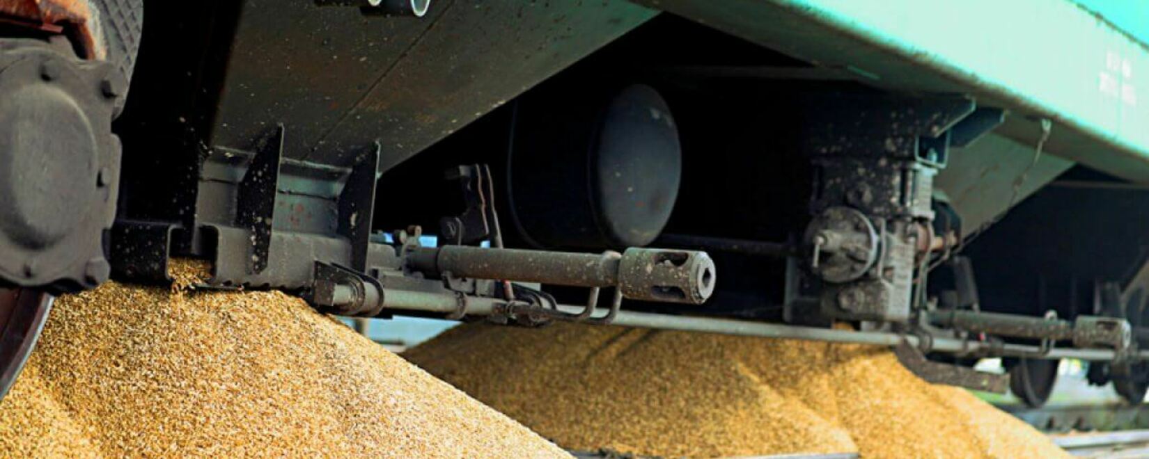 Экспорт зерна из Казахстана в Афганистан сократился в три раза