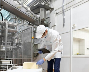 "Рота-Агро" планирует запустить завод по производству сыра с полным циклом от поля до прилавка объемом 5 тыс. тонн в год.