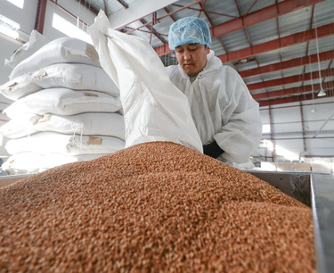 农业部评估年初以来荞麦、大米价格动态