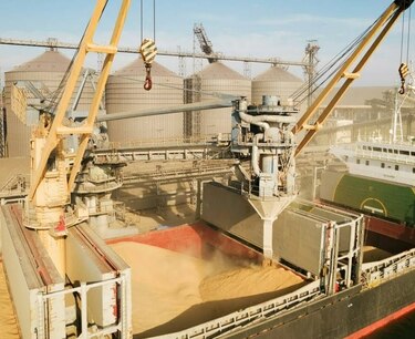 约20万吨农产品从埃及港口清关