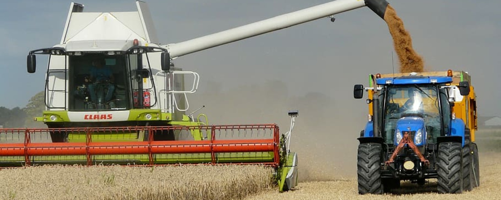 俄罗斯农业部向外贸参与者分配了额外的谷物出口配额。