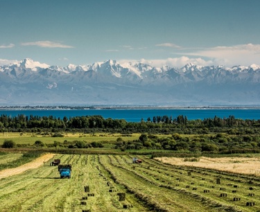 Ставка снижена до 10%: государство Кыргызстана объявило о последнем проекте по финансированию сельского хозяйства в 2024 году