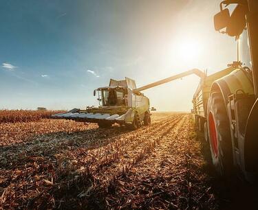 The International Grain Council (IGC) raised the forecast for the gross grain harvest in Russia to 125.5 million tons