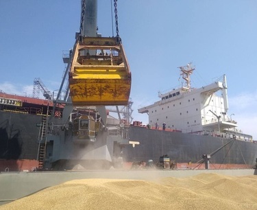 Another 119 thousand tons of corn and soybeans cleared in the ports of Egypt