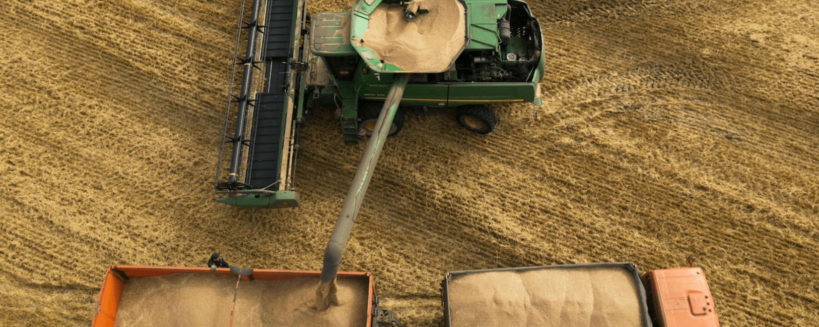 Россия может обеспечить до 40% потребности Алжира в пшенице