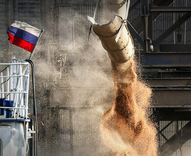 The government will allocate 10 billion rubles to support grain producers