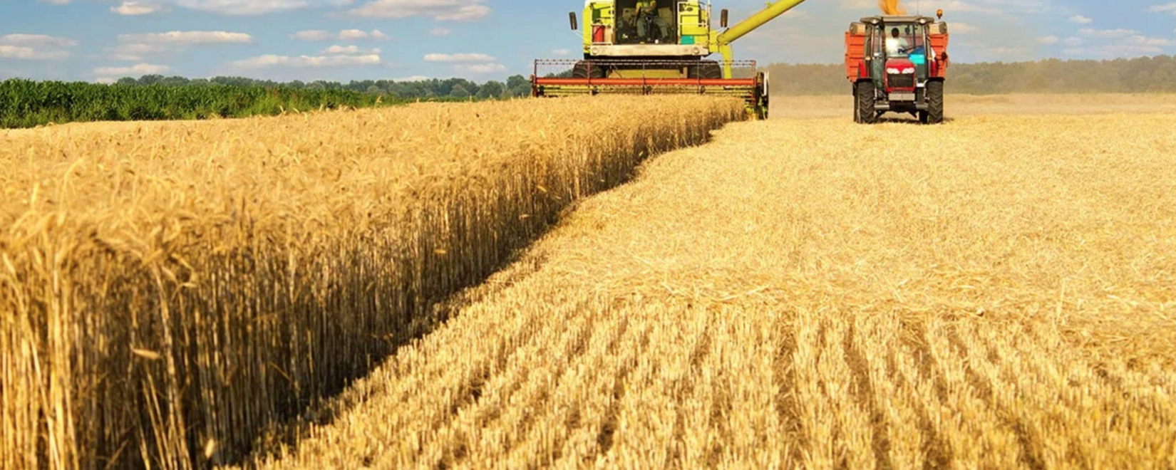 В США завершается уборка яровой пшеницы