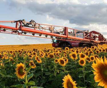 The Grain Union of Kazakhstan calls for the cancellation of the export duty on sunflower exports to support grain producers.