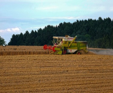 Выручка от экспорта зерновых продуктов из России выросла на 21% и достигла 89,3 млн тонн — рекордный показатель за сезон.