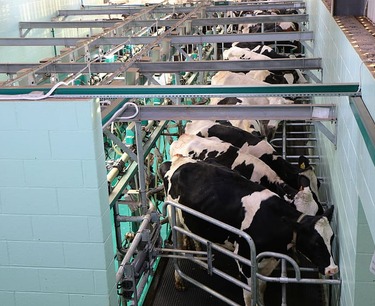 The production of dairy equipment in Russia is expected to increase to 4 billion rubles by 2024, according to the forecast of the "Rosspetsmash" association.