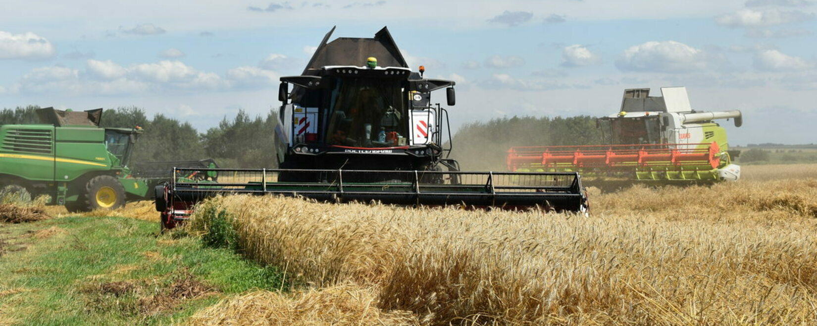Омские аграрии обмолотили 1,3 млн тонн зерна